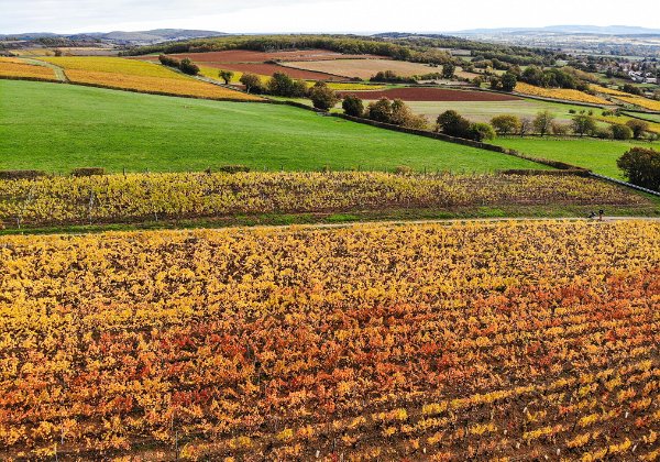 Couleurs d'automne 2020