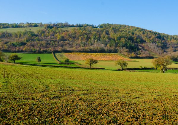 Novembre 2020 aux alentours de Bonnay